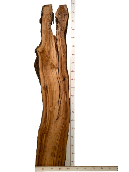197 cm Olivenholz Bohle mit Löchern und Rissen - ideal für Epoxidharz-Projekte u.V.m. Nr. 1202