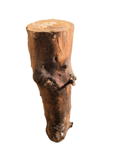 Olivenholz-Stammstück-58-cm-Nr.-330