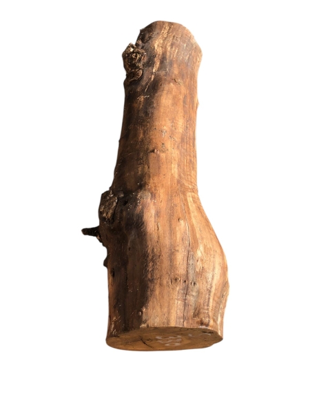 Olivenholz-Stammstück-58-cm-Nr.-330
