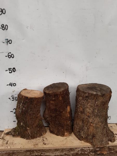 3er Set Olivenholz Stammstücke – Vielseitige Rohwaren Dieses Set besteht aus kleinen Olivenholz Stammstücken, ideal für kreative Projekte wie Drechseln und Basteln.
