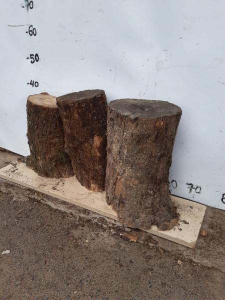 3er Set Olivenholz Stammstücke – Vielseitige Rohwaren Dieses Set besteht aus kleinen Olivenholz Stammstücken, ideal für kreative Projekte wie Drechseln und Basteln.