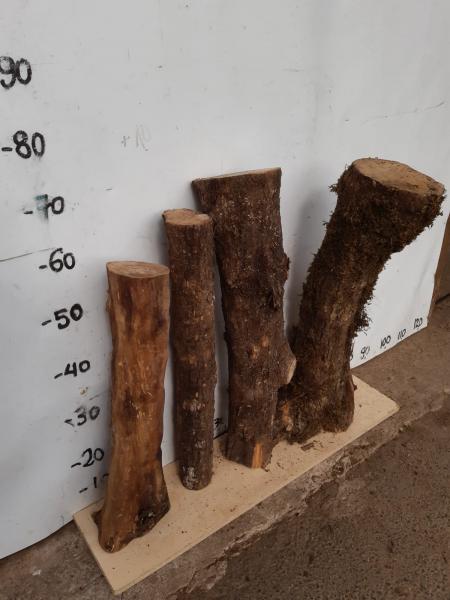 4er Set Olivenholz Stammstücke – Vielfältige Rohwaren Dieses Set besteht aus langen, unterschiedlich dicken Olivenholz Stammstücken, ideal für kreative Projekte wie Drechseln und Basteln.