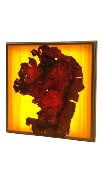 Olivenholz Wandbild beleuchtet 66x66 cm Art.Nr. G04
