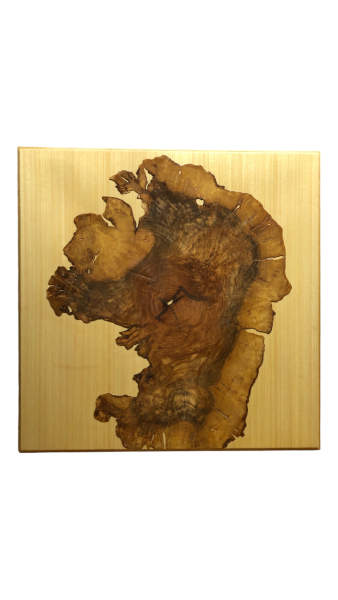 Olivenholz Wandbild beleuchtet 66x66 cm Art.Nr. G04