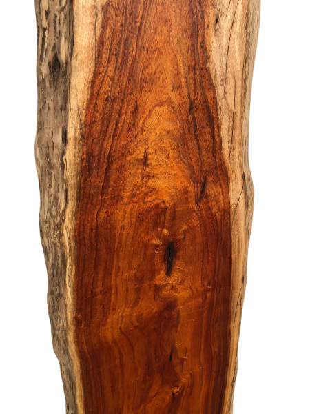 Polierte Australian Blackwood Klangholz-Bohle – 196,5 cm x 21–38 cm x 3,5 cm (Nr. 1221)