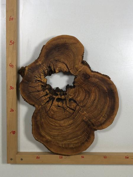 Wunderschöner Querschnitt eines Olivenbaumes mit natürlichem Loch, optimal für kreative Projekte und Epoxidharz-Anwendungen.