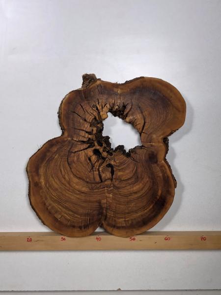 Wunderschöner Querschnitt eines Olivenbaumes mit natürlichem Loch, optimal für kreative Projekte und Epoxidharz-Anwendungen.