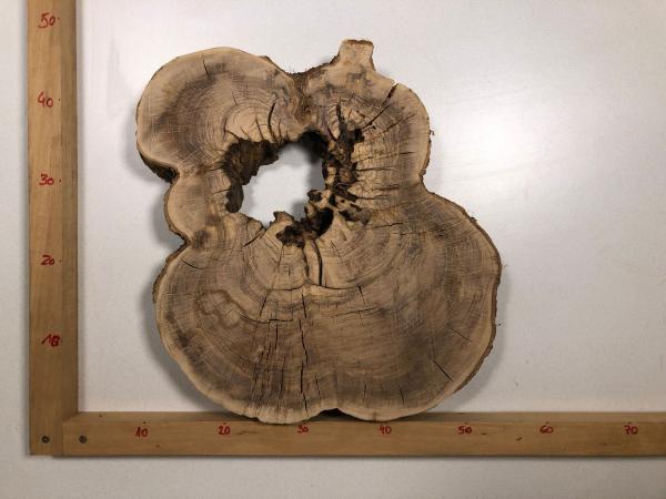 Wunderschöner Querschnitt eines Olivenbaumes mit natürlichem Loch, optimal für kreative Projekte und Epoxidharz-Anwendungen.