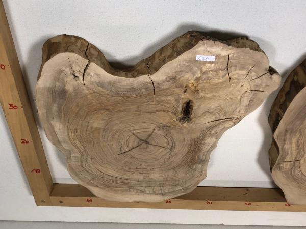 2 identische Olivenholz Baumscheiben – Geschliffene und luftgetrocknete Querschnitte aus Olivenbaum