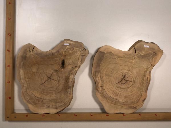 2 identische Olivenholz Baumscheiben – Geschliffene und luftgetrocknete Querschnitte aus Olivenbaum