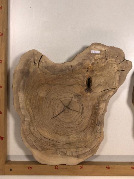 2 identische Olivenholz Baumscheiben – Geschliffene und luftgetrocknete Querschnitte aus Olivenbaum