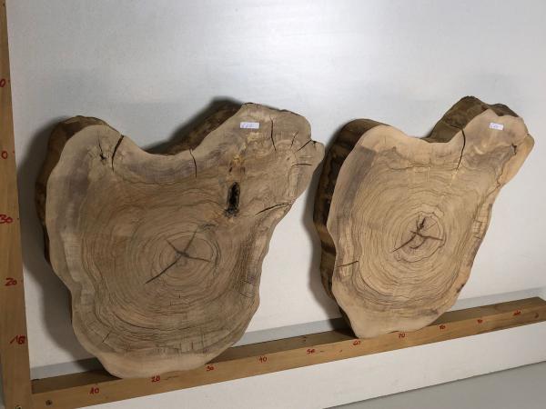2 identische Olivenholz Baumscheiben – Geschliffene und luftgetrocknete Querschnitte aus Olivenbaum