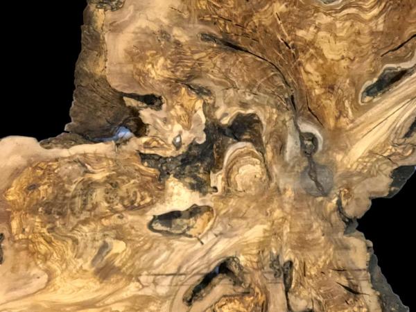 Wilde Olivenbaum Wurzelscheibe, ideal für kreative Anwendungen und individuelle Gestaltungen mit Epoxidharz.