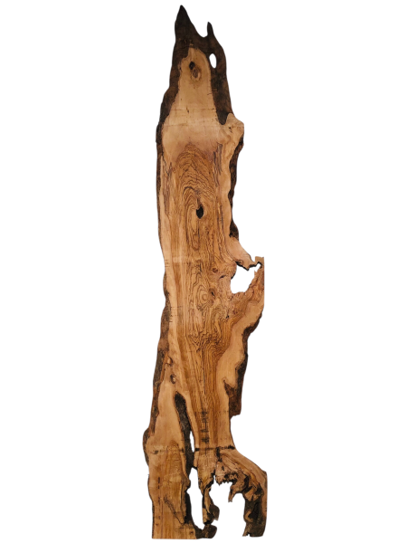 Riesige 265 cm Olivenholz Bohle - Uralt und wunderschön - 1213