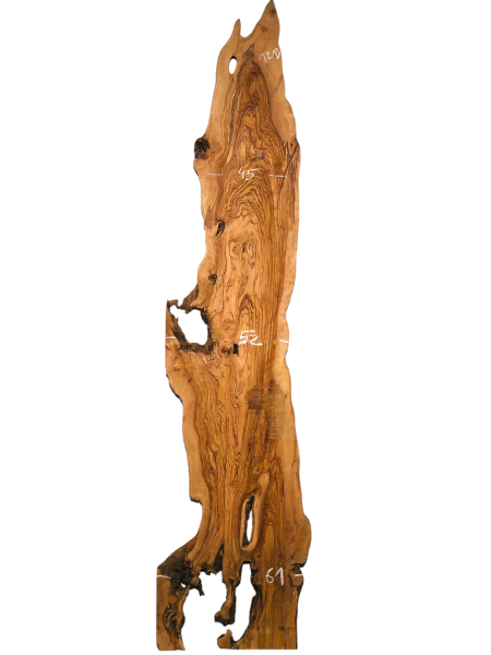 Riesige 265 cm Olivenholz Bohle - Uralt und wunderschön - 1213