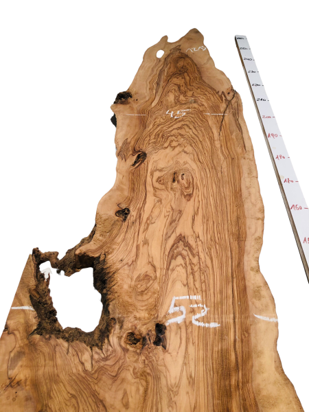 Riesige 265 cm Olivenholz Bohle - Uralt und wunderschön - 1213