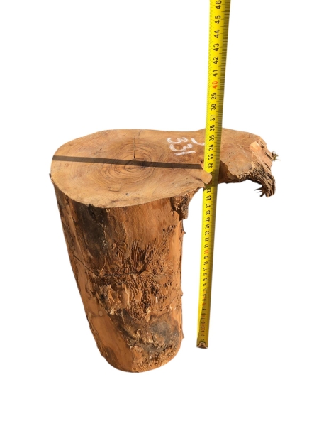 Schönes massives Olivenholz Stammstück 331
