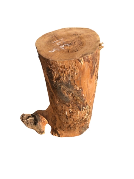 Schönes massives Olivenholz Stammstück 331
