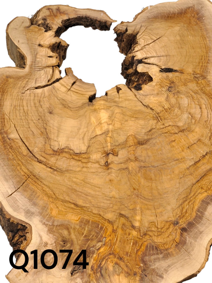 TROCKENE Olivenholz Baumscheibe mit halboffenen Loch - für Epoxidharz Q1074