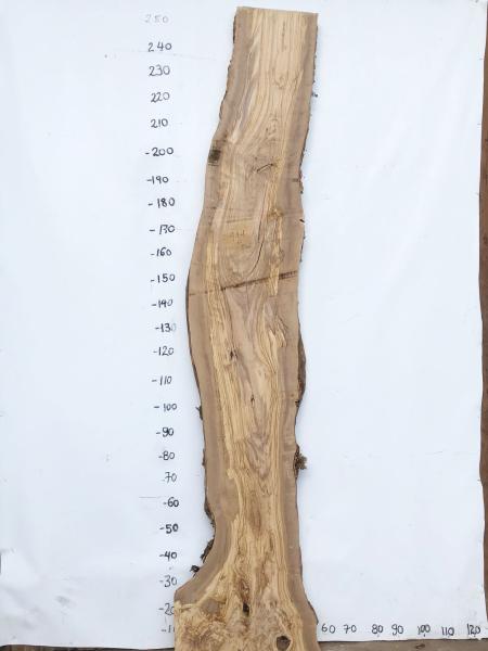 Große Olivenholz Bohle – ideal für den Bau von Theken, Esstischen oder Arbeitsplatten.