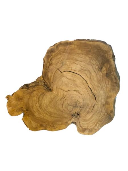 Große Olivenbaumscheibe mit toller Struktur, ideal für kreative Anwendungen und individuelle Gestaltungen.