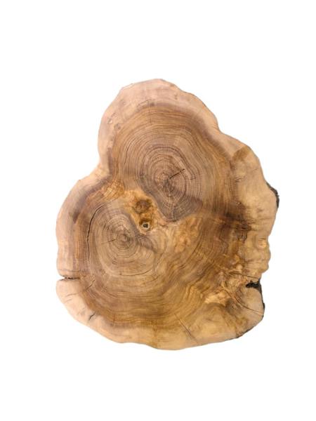 Querschnitt vom Olivenbaum mit typischer Struktur, perfekt für kreative Anwendungen und individuelle Gestaltungen.