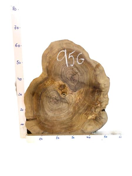 Querschnitt vom Olivenbaum mit typischer Struktur, perfekt für kreative Anwendungen und individuelle Gestaltungen.