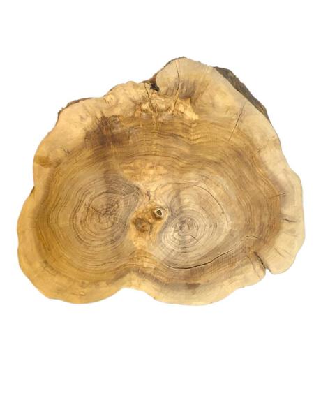 Querschnitt vom Olivenbaum mit typischer Struktur, perfekt für kreative Anwendungen und individuelle Gestaltungen.