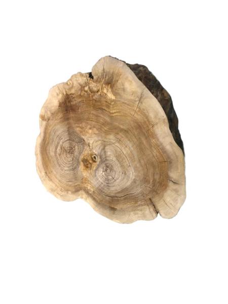 Querschnitt vom Olivenbaum mit typischer Struktur, perfekt für kreative Anwendungen und individuelle Gestaltungen.