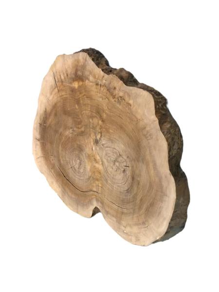 Querschnitt vom Olivenbaum mit typischer Struktur, perfekt für kreative Anwendungen und individuelle Gestaltungen.