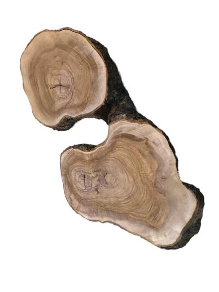 Ausgefallener Doppelquerschnitt eines Olivenbaumes, ideal für kreative Projekte und die Verarbeitung mit Epoxidharz.
