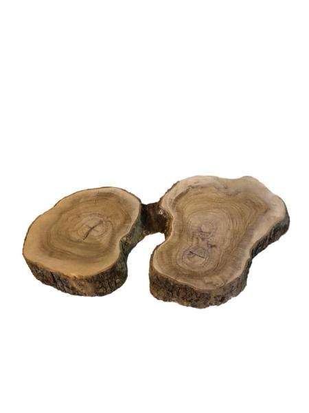 Ausgefallener Doppelquerschnitt eines Olivenbaumes, ideal für kreative Projekte und die Verarbeitung mit Epoxidharz.