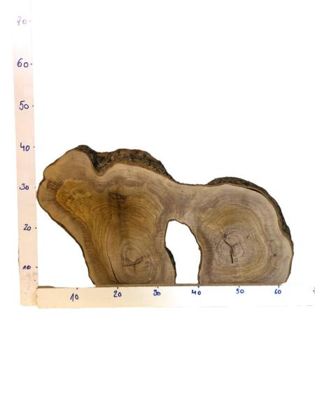 Ausgefallener Doppelquerschnitt eines Olivenbaumes, ideal für kreative Projekte und die Verarbeitung mit Epoxidharz.