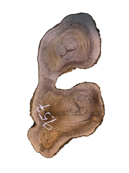 Ausgefallener Doppelquerschnitt eines Olivenbaumes, ideal für kreative Projekte und die Verarbeitung mit Epoxidharz.