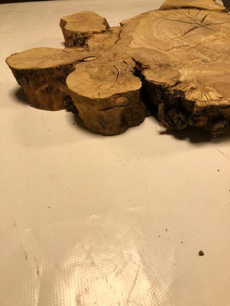 Interessant geformter Olivenbaum Querschnitt, perfekt für kreative Anwendungen und die Verarbeitung mit Epoxidharz.