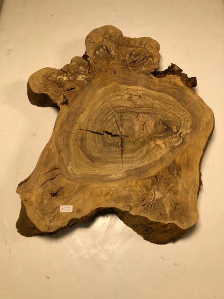 Interessant geformter Olivenbaum Querschnitt, perfekt für kreative Anwendungen und die Verarbeitung mit Epoxidharz.