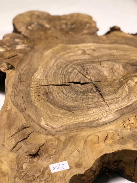 Interessant geformter Olivenbaum Querschnitt, perfekt für kreative Anwendungen und die Verarbeitung mit Epoxidharz.