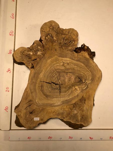 Interessant geformter Olivenbaum Querschnitt, perfekt für kreative Anwendungen und die Verarbeitung mit Epoxidharz.