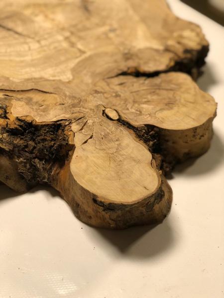 Interessant geformter Olivenbaum Querschnitt, perfekt für kreative Anwendungen und die Verarbeitung mit Epoxidharz.