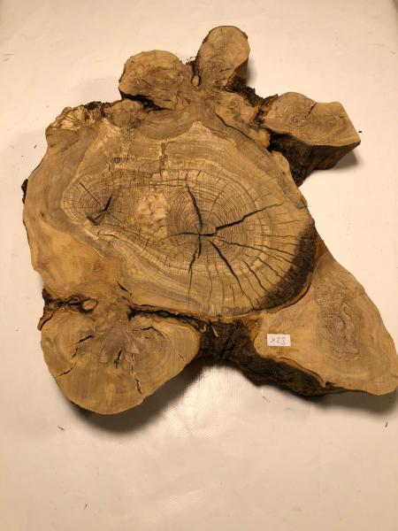 Interessant geformter Olivenbaum Querschnitt, perfekt für kreative Anwendungen und die Verarbeitung mit Epoxidharz.