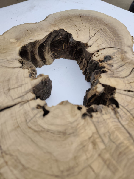 Olivenholz Baumscheibe 40–53 cm – Trockenes Olivenholz mit Loch für Epoxidharz Nr. 2792