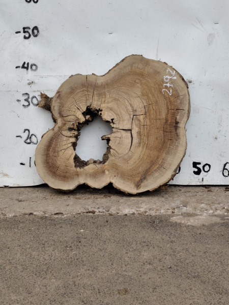 Olivenholz Baumscheibe 40–53 cm – Trockenes Olivenholz mit Loch für Epoxidharz Nr. 2792