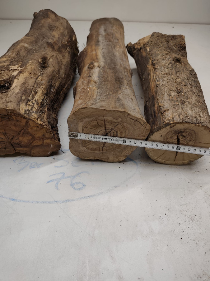 trockene Olivenbaum Stammstücke lang gerade gewachsen leicht Rissig 3er Set 76