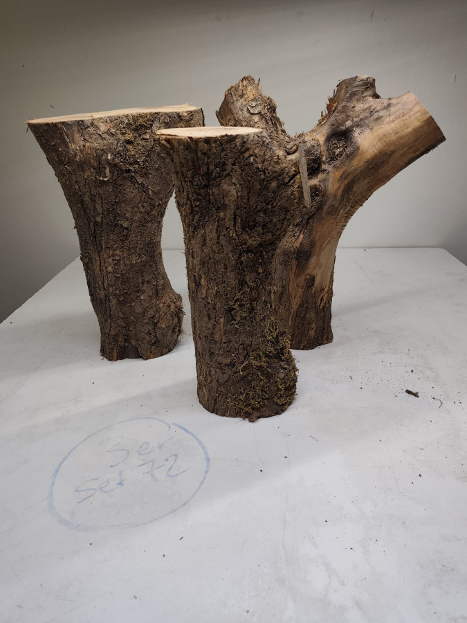 trockene Olivenholz Stammstücke mit Gabelung 3er Set 72