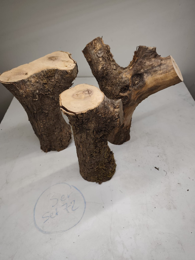 trockene Olivenholz Stammstücke mit Gabelung 3er Set 72