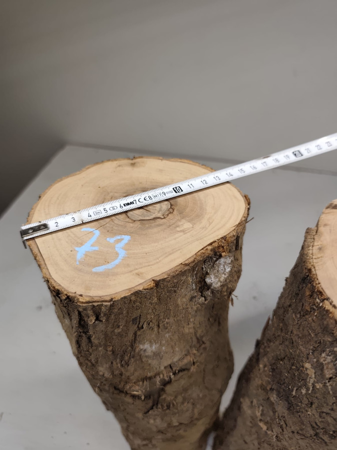 trockene Olivenholz Stammstücke zum drechseln 3er Set 73
