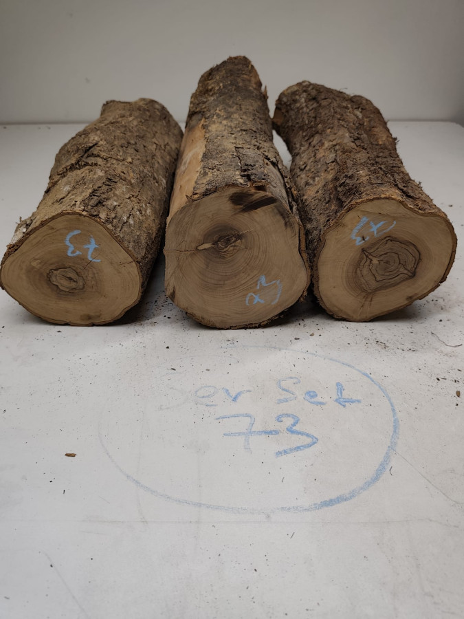 trockene Olivenholz Stammstücke zum drechseln 3er Set 73