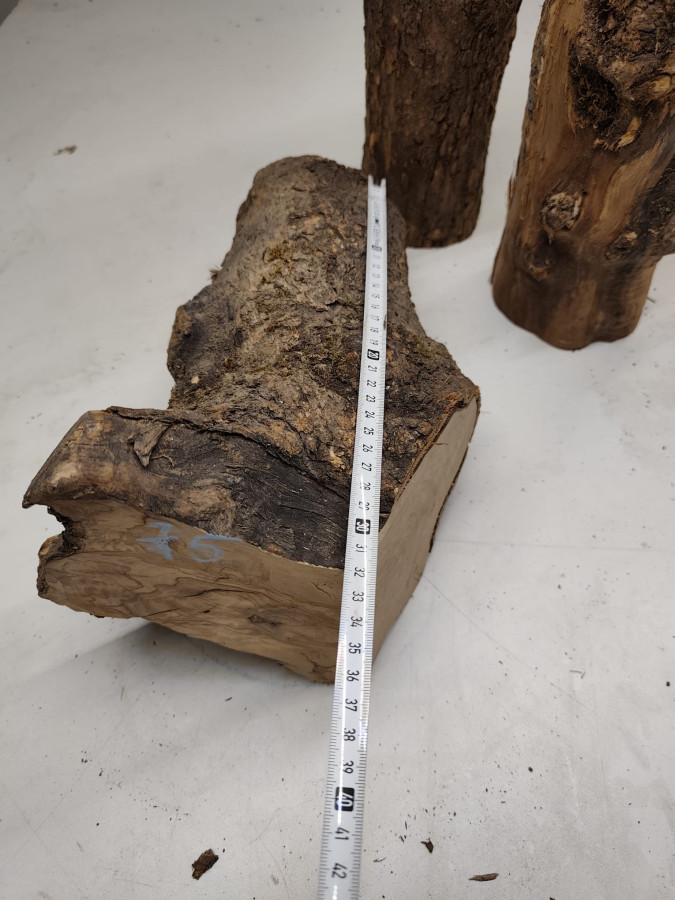 trockene und knorrig gewachsene Olivenholz Stammware im 3er Set 75