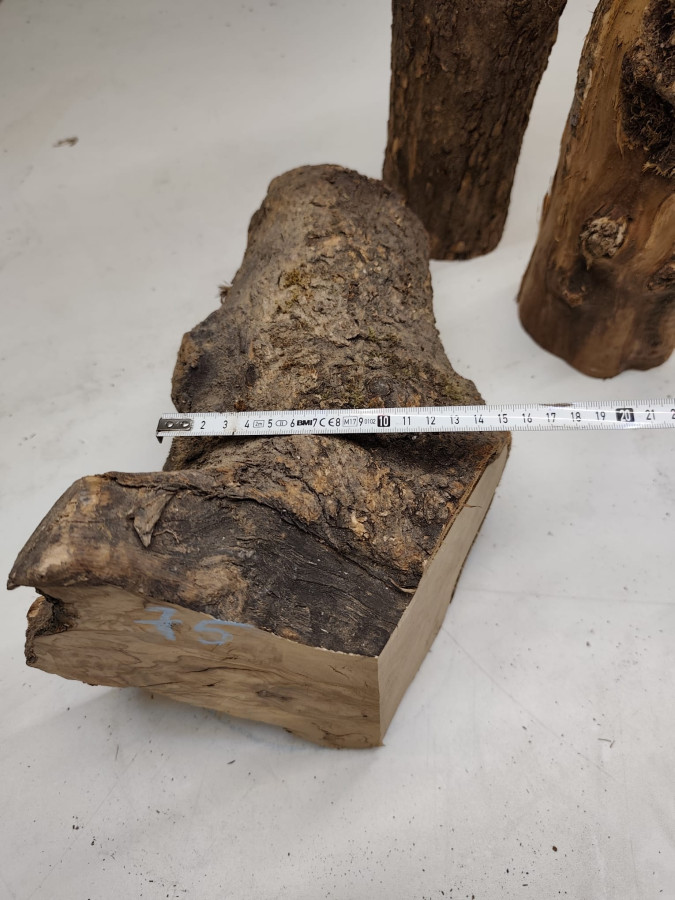 trockene und knorrig gewachsene Olivenholz Stammware im 3er Set 75