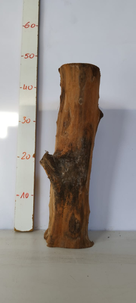 trockenes-Olivenbaum-Stammstück-341